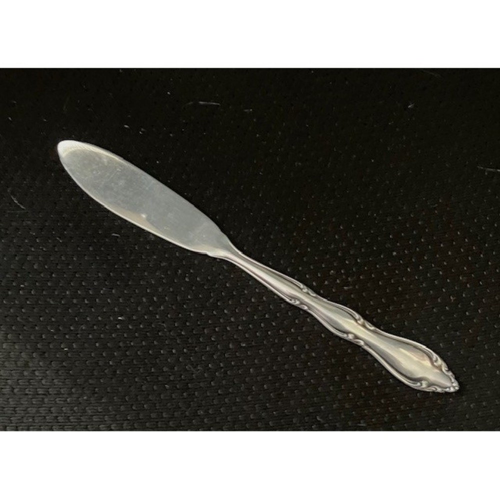 Butter Knife 1847 Rogers Bros ANNIVERSARY Silverware International Stainless